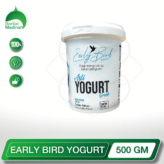 Early Bird Yogurt (500g) berkat madinah