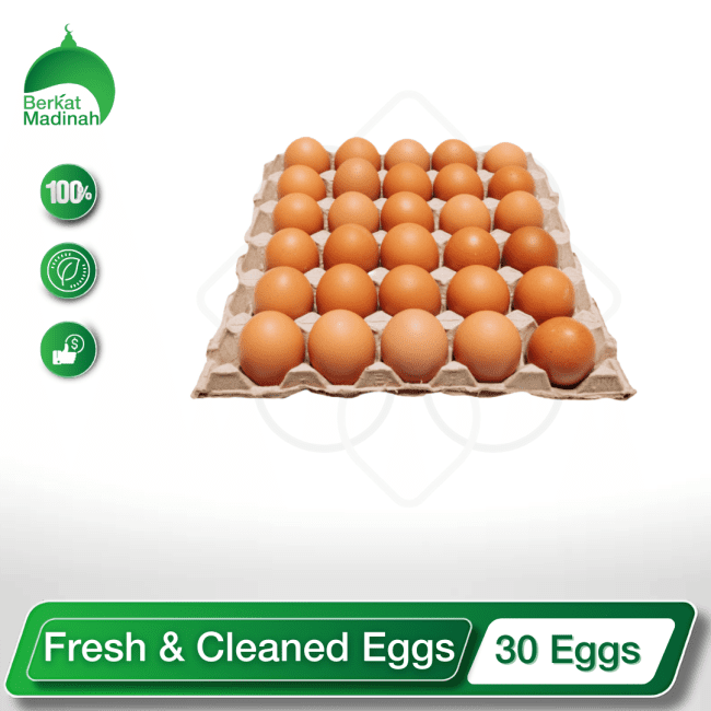 Fresh & Cleaned Eggs (30 Eggs) berkat madinah