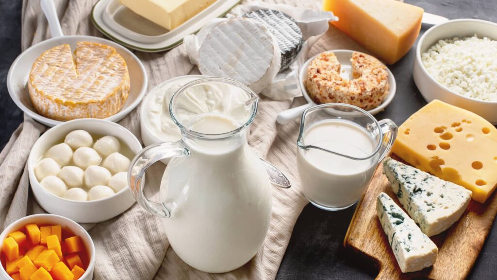 Fresh dairy products from Berkat Madinah including Akkawi cheese and yogurt.
