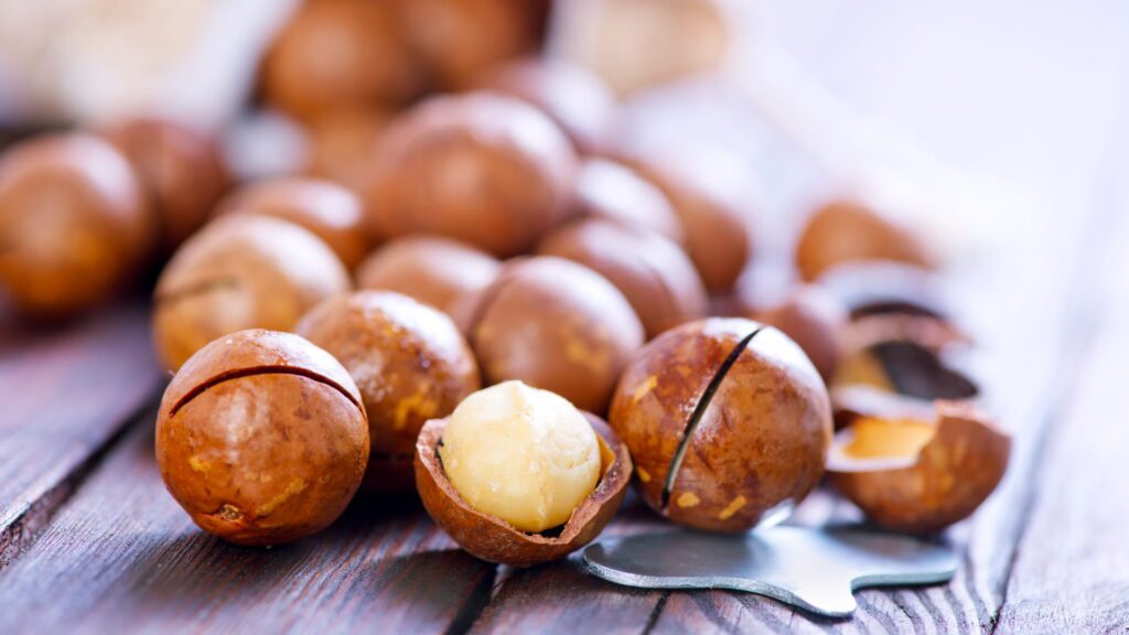 roasted macadamia