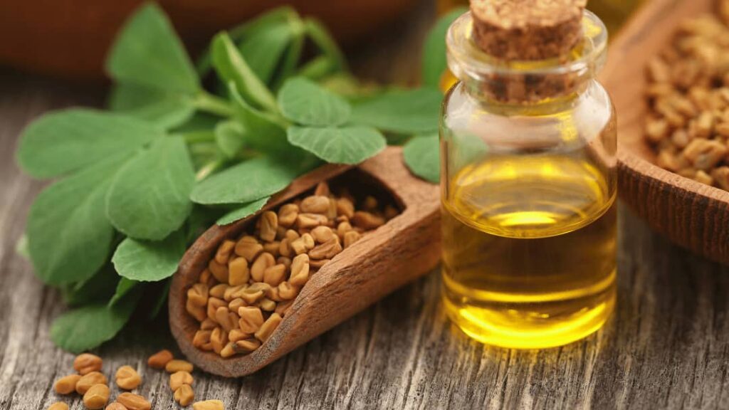 Fenugreek Oil Berkat Madinah