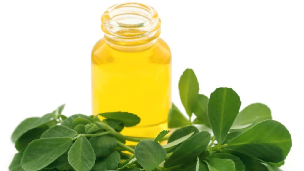 Fenugreek Oil Berkat Madinah